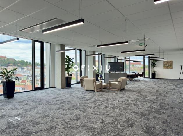 Pronájem kanceláře, Brno - Staré Brno, Nové sady, 300 m2