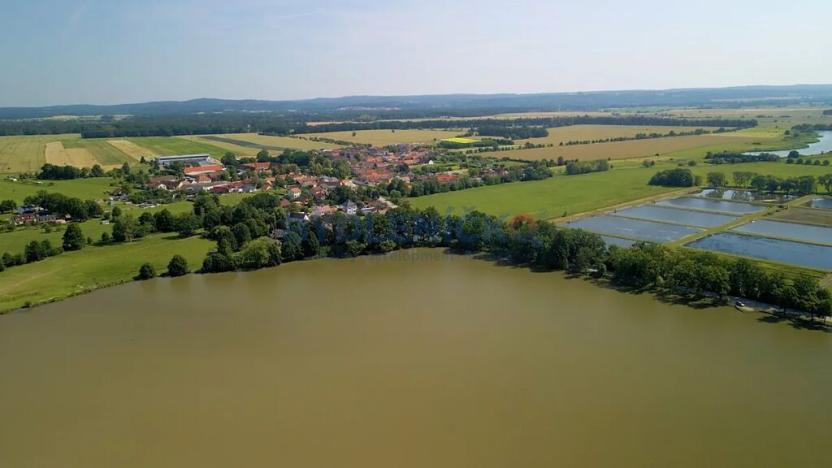 Prodej pozemku pro bydlení, Čejkovice, 10797 m2