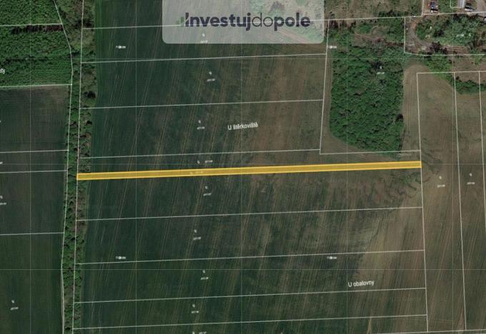 Prodej zahrady, Přítluky - Nové Mlýny, 1690 m2