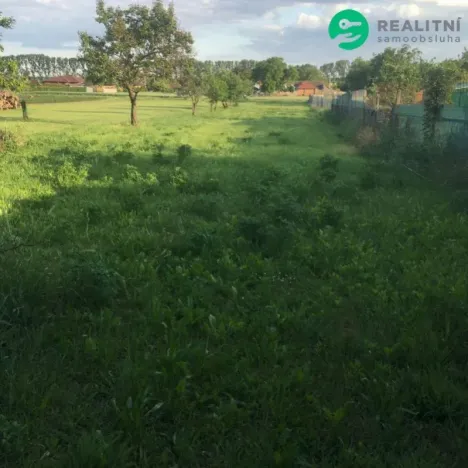 Prodej rodinného domu, Hrušovany nad Jevišovkou, Drnholecká, 160 m2