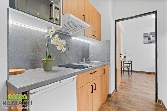 Prodej apartmánu, Buchlovice, K Buchlovu, 320 m2