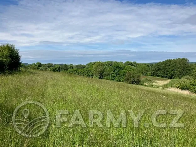 Prodej pole, Kouřim, 12974 m2