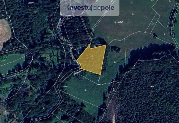 Prodej lesa, Prosíčka - Dolní Prosíčka, 4042 m2