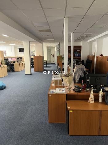 Pronájem kanceláře, Brno, Masarykova, 505 m2