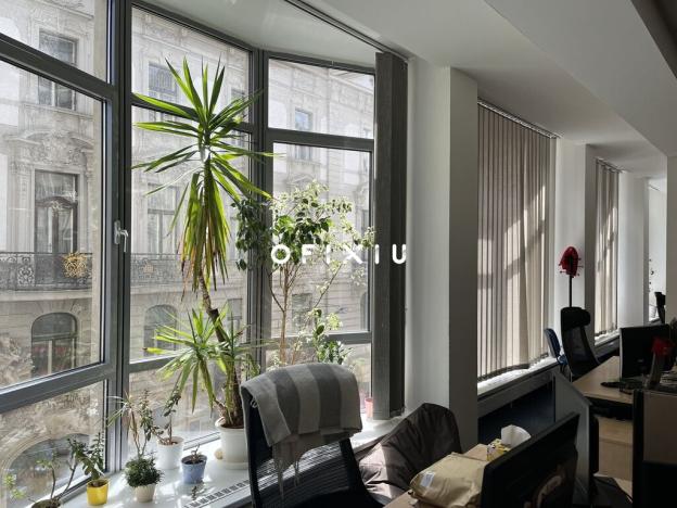 Pronájem kanceláře, Brno, Masarykova, 505 m2