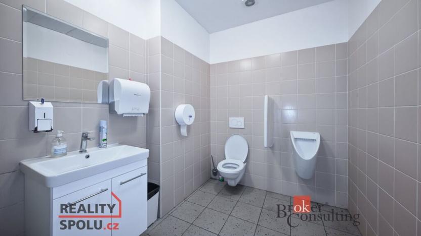 Prodej obchodního prostoru, Pardubice - Zelené Předměstí, V Ráji, 740 m2