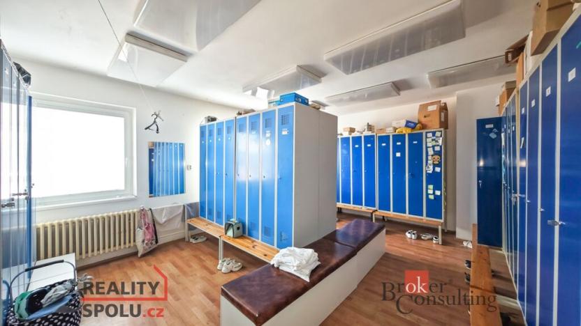 Prodej obchodního prostoru, Pardubice - Zelené Předměstí, V Ráji, 740 m2