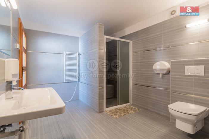 Prodej ubytování, Blažejov - Malý Ratmírov, 300 m2