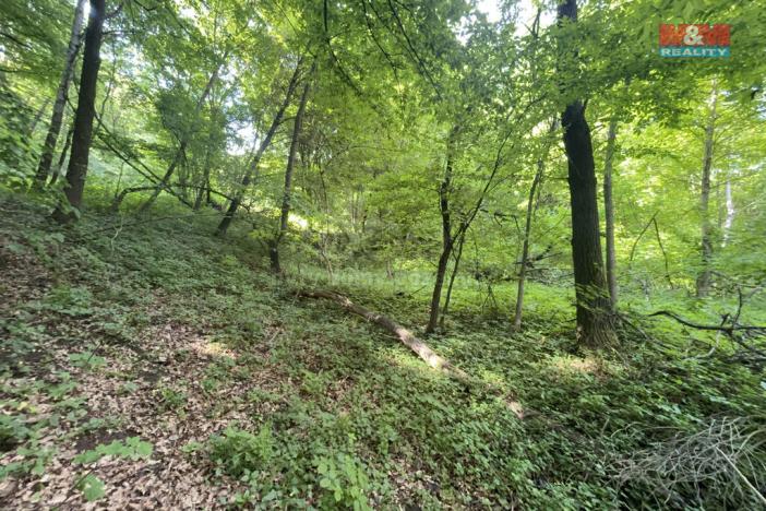 Prodej zahrady, Šarovy, 2923 m2