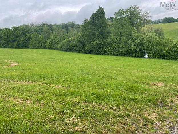 Prodej pole, Starý Jičín - Palačov, 33045 m2