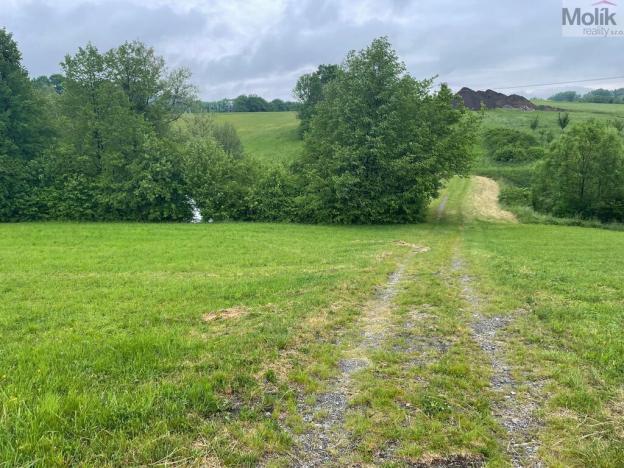 Prodej pole, Starý Jičín - Palačov, 33045 m2