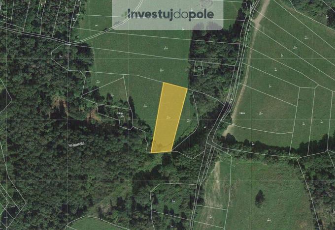 Prodej louky, Neurazy - Nová Ves u Nepomuka, 3979 m2
