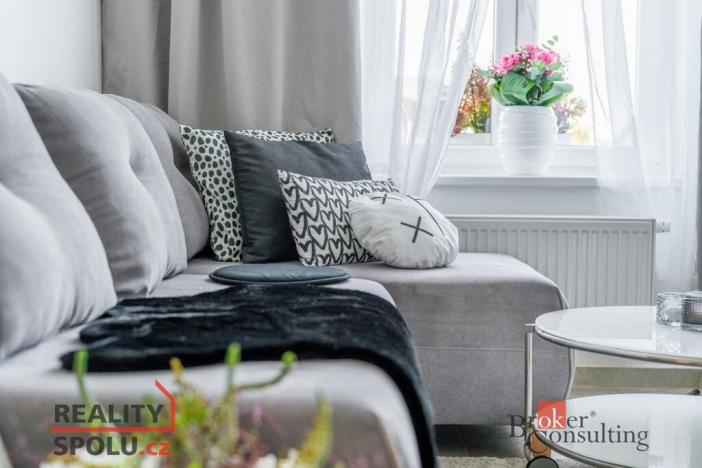 Pronájem bytu 1+kk, Albrechtice nad Orlicí, 1. máje, 30 m2