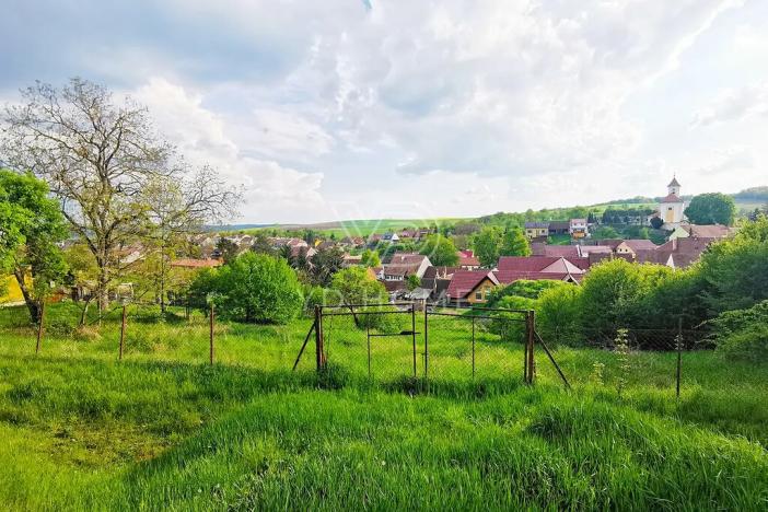 Prodej pozemku pro bydlení, Letonice, 323 m2