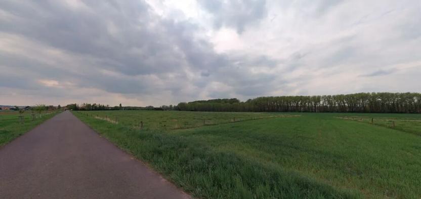 Prodej podílu pole, Chodouny, 4477 m2