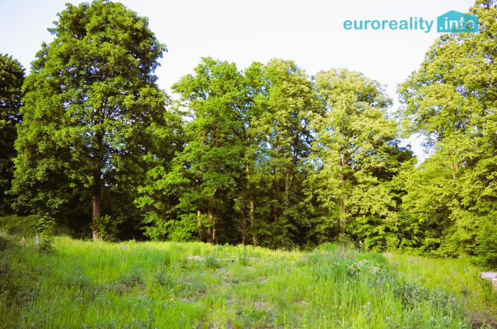 Prodej pozemku pro bydlení, Žandov, 3600 m2