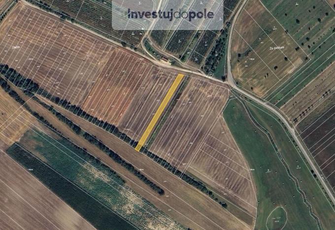 Prodej pole, Šardice, 1199 m2