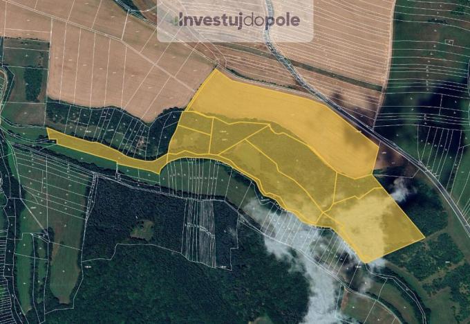 Prodej louky, Částkov, 1668 m2