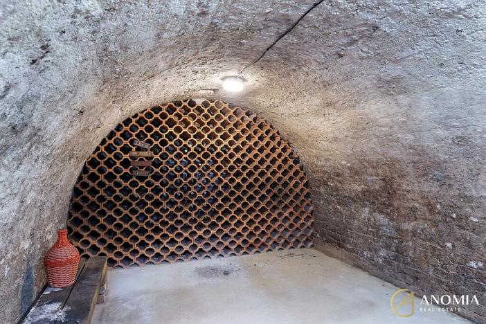 Prodej ubytování, Lednice, Nejdecká, 594 m2