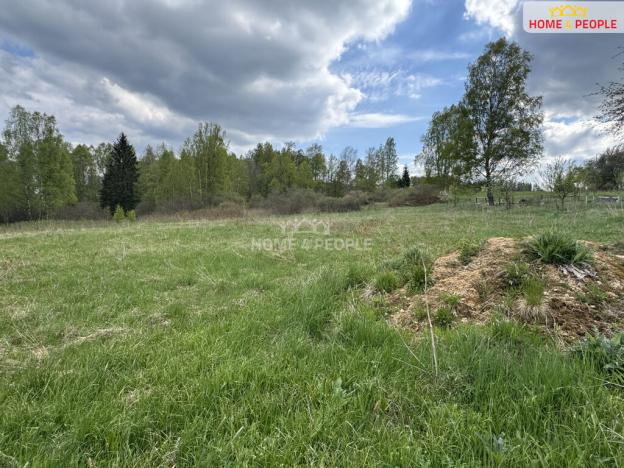 Prodej pozemku pro bydlení, Nová Pec, 3286 m2