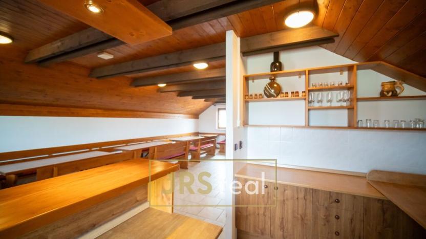 Prodej ubytování, Velké Bílovice, 285 m2