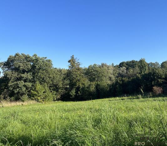 Prodej komerčního pozemku, Třinec - Konská, 2450 m2