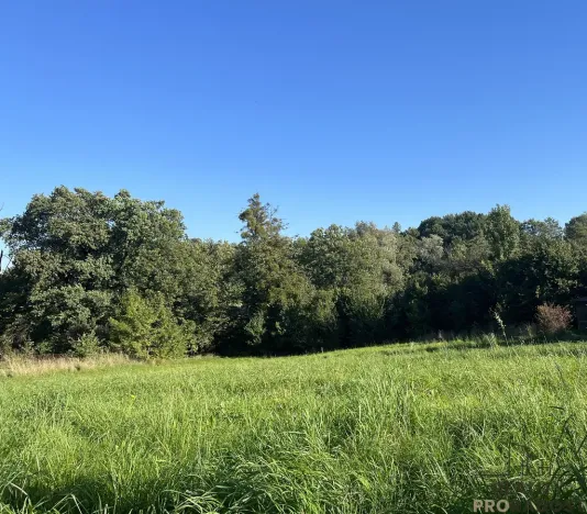 Prodej komerčního pozemku, Třinec - Konská, 2450 m2