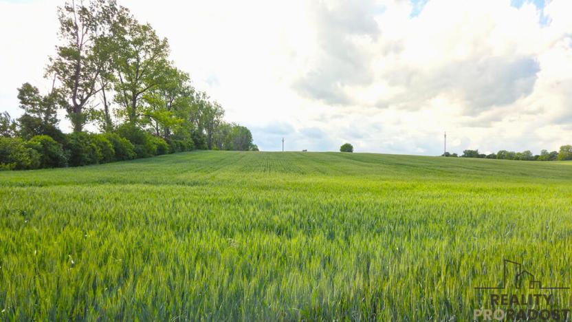 Prodej pole, Kyjov, 2649 m2