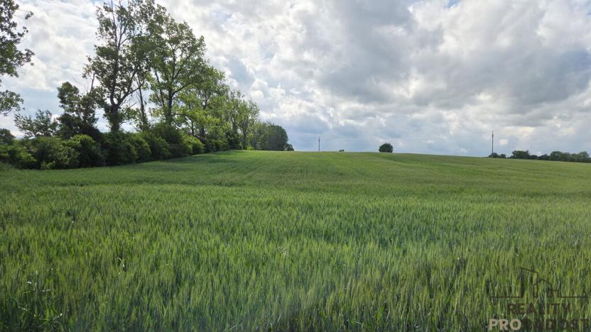 Prodej pole, Kyjov, 2649 m2