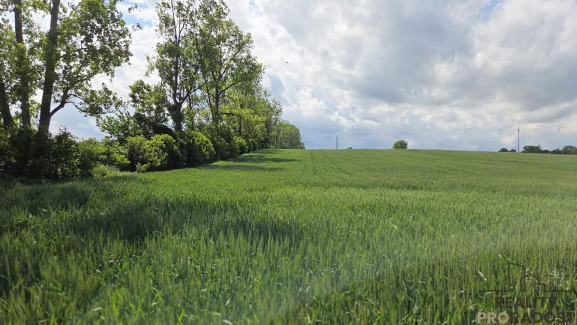 Prodej pole, Kyjov, 2649 m2