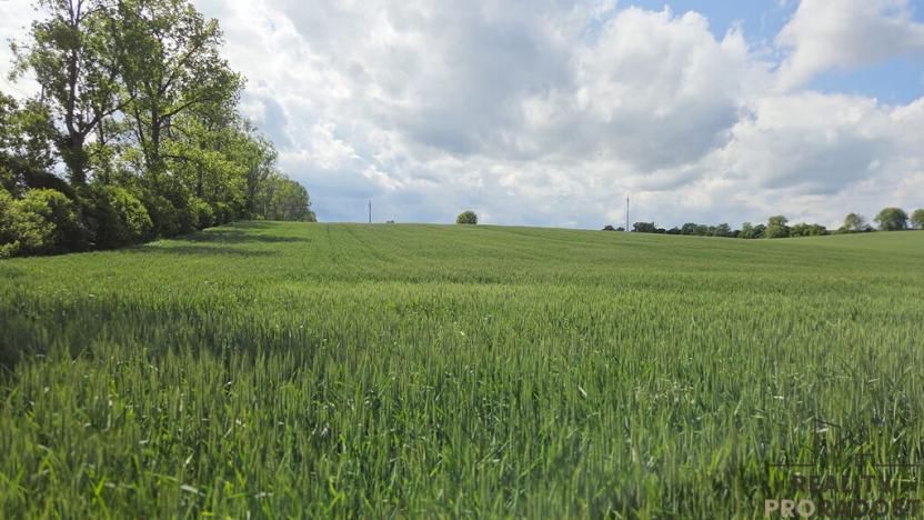 Prodej pole, Kyjov, 2649 m2