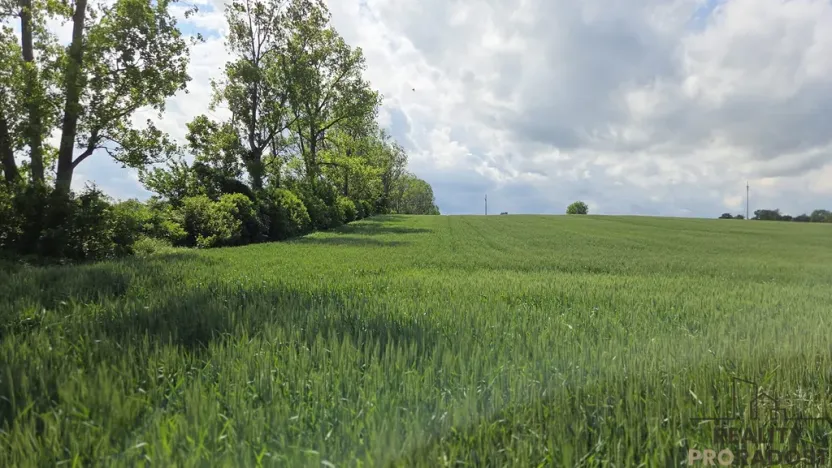 Prodej pole, Kyjov, 2649 m2