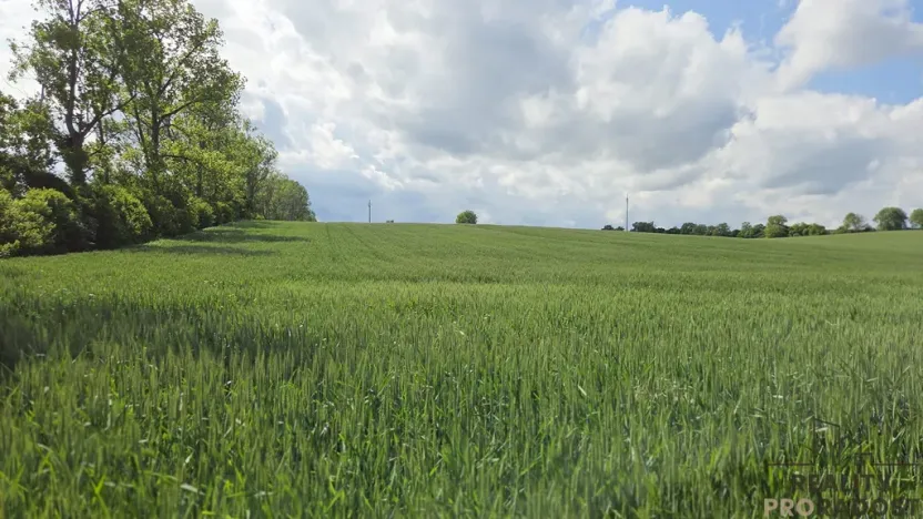 Prodej pole, Kyjov, 2649 m2