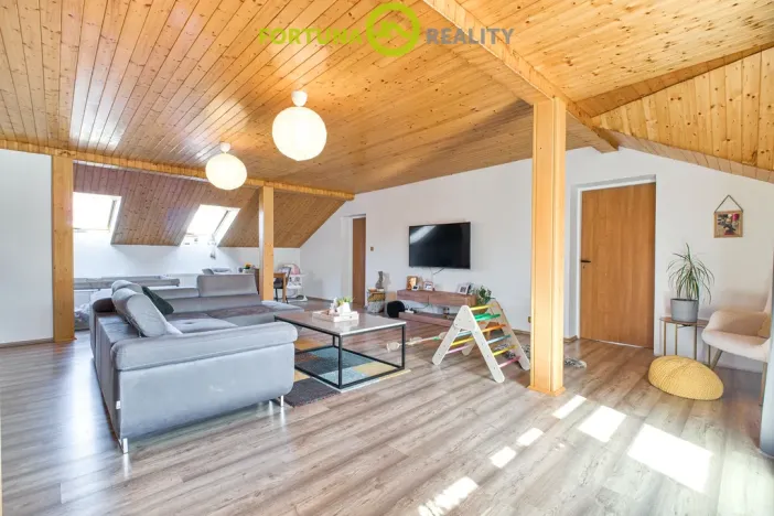 Prodej rodinného domu, Studénka, 2. května, 318 m2