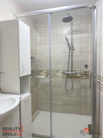 Pronájem bytu 1+1, Opava - Předměstí, Zámecký okruh, 40 m2