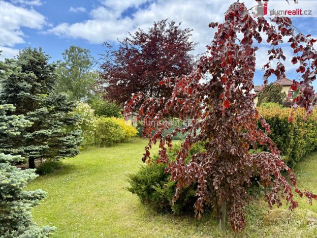 Prodej rodinného domu, Stará Voda - Sekerské Chalupy, 390 m2