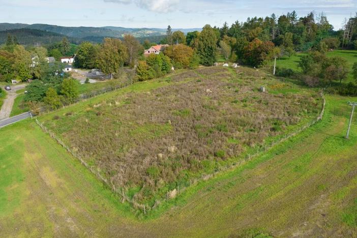 Prodej pozemku pro bydlení, Milešov, 8502 m2