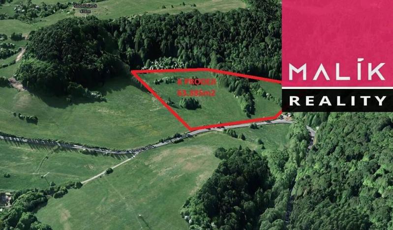 Prodej louky, Stráž nad Ohří, 63385 m2