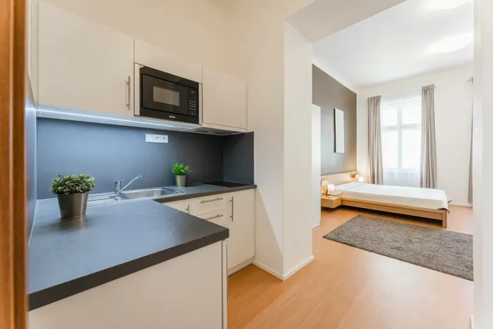 Pronájem bytu 1+kk, Praha - Žižkov, Chlumova, 35 m2