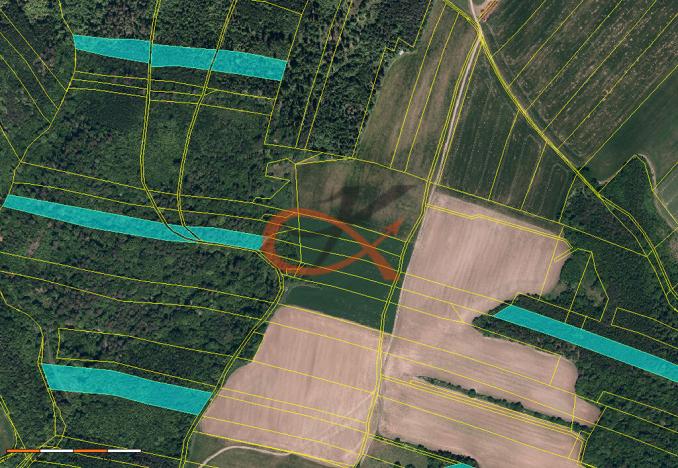 Prodej lesa, Fulnek - Jílovec, 71000 m2