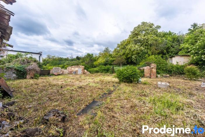 Prodej rodinného domu, Dyje, 100 m2