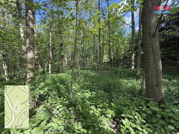 Prodej pozemku, Červená Voda - Horní Orlice, 424 m2