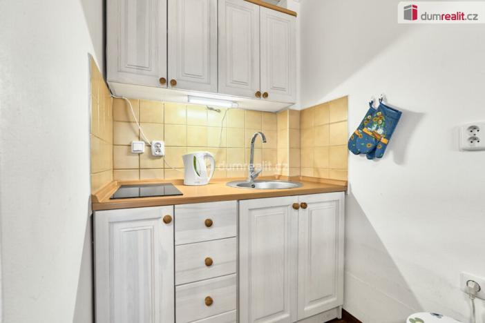 Prodej ubytování, Chlum u Třeboně, Chelčického, 570 m2