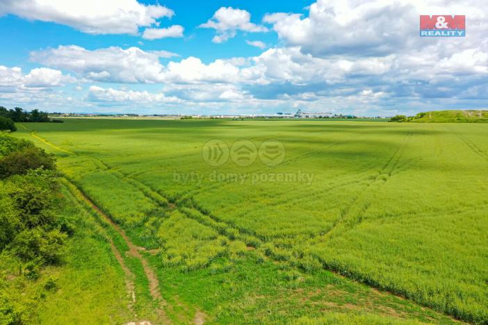 Prodej pole, Dobrovíz, 5578 m2