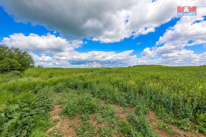 Prodej pole, Dobrovíz, 5578 m2