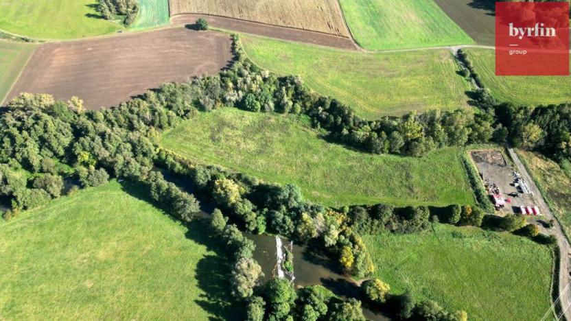 Prodej lesa, Opava, 5946 m2