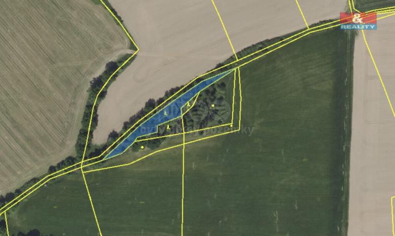 Prodej lesa, Maršovice - Libeč, 2104 m2