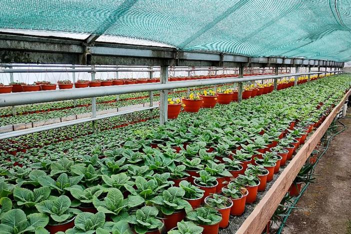 Prodej komerční nemovitosti, Miřetice, 956 m2