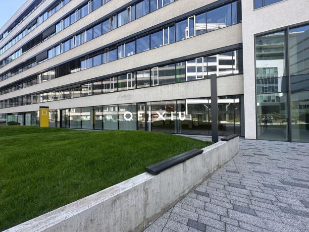 Pronájem obchodního prostoru, Brno, Nové sady, 160 m2