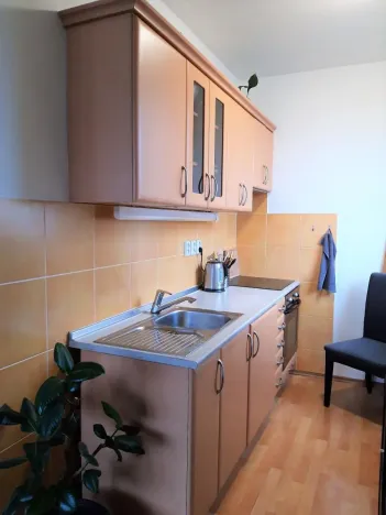 Pronájem bytu 1+kk, Praha - Strašnice, Janýrova, 37 m2